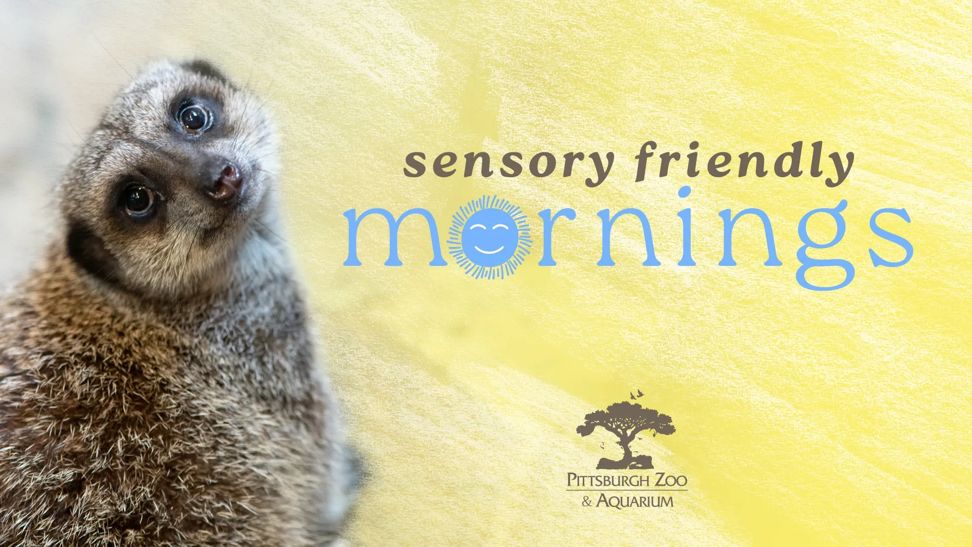 sensory friendly mornings logo, with image of a meerkat