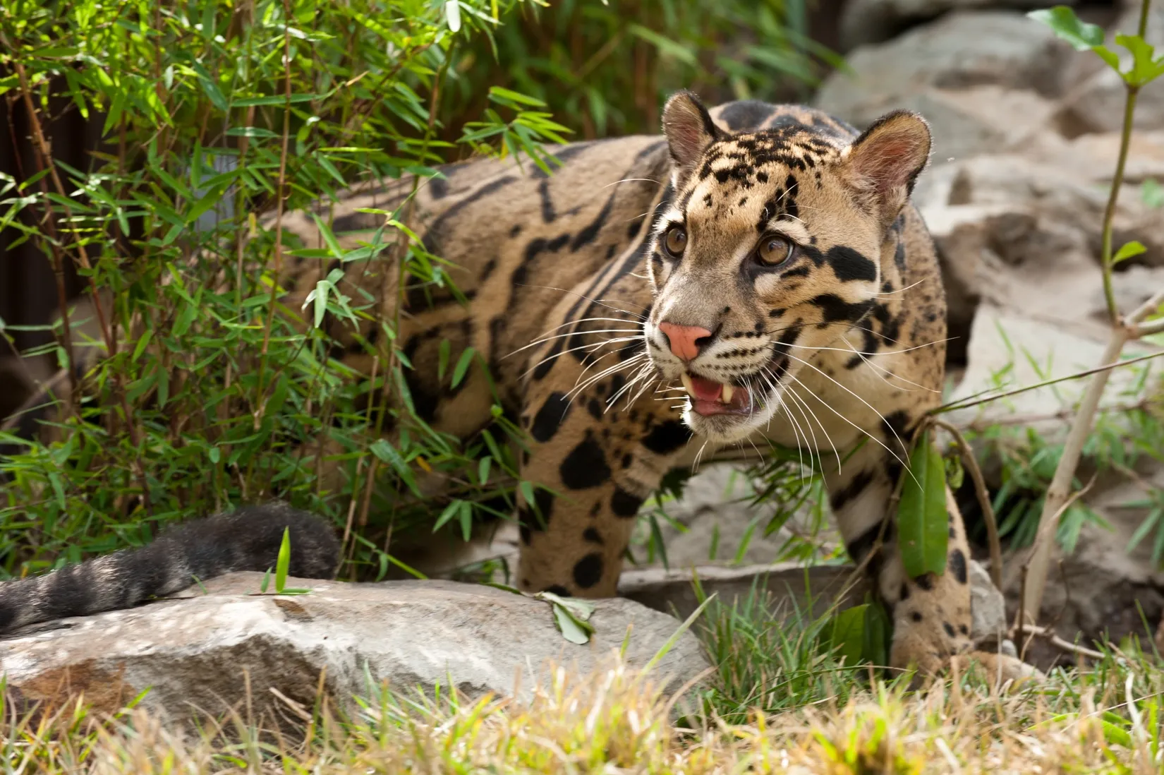 Pittsburgh Zoo
