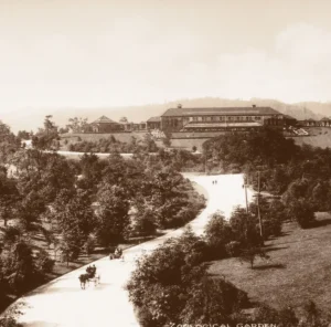 Sepia photo of the Pittsburgh Zoo gardens taken in the early 1900's. It depicts the main zoo building in the distance with horse drawn buggies on the path leading to it.