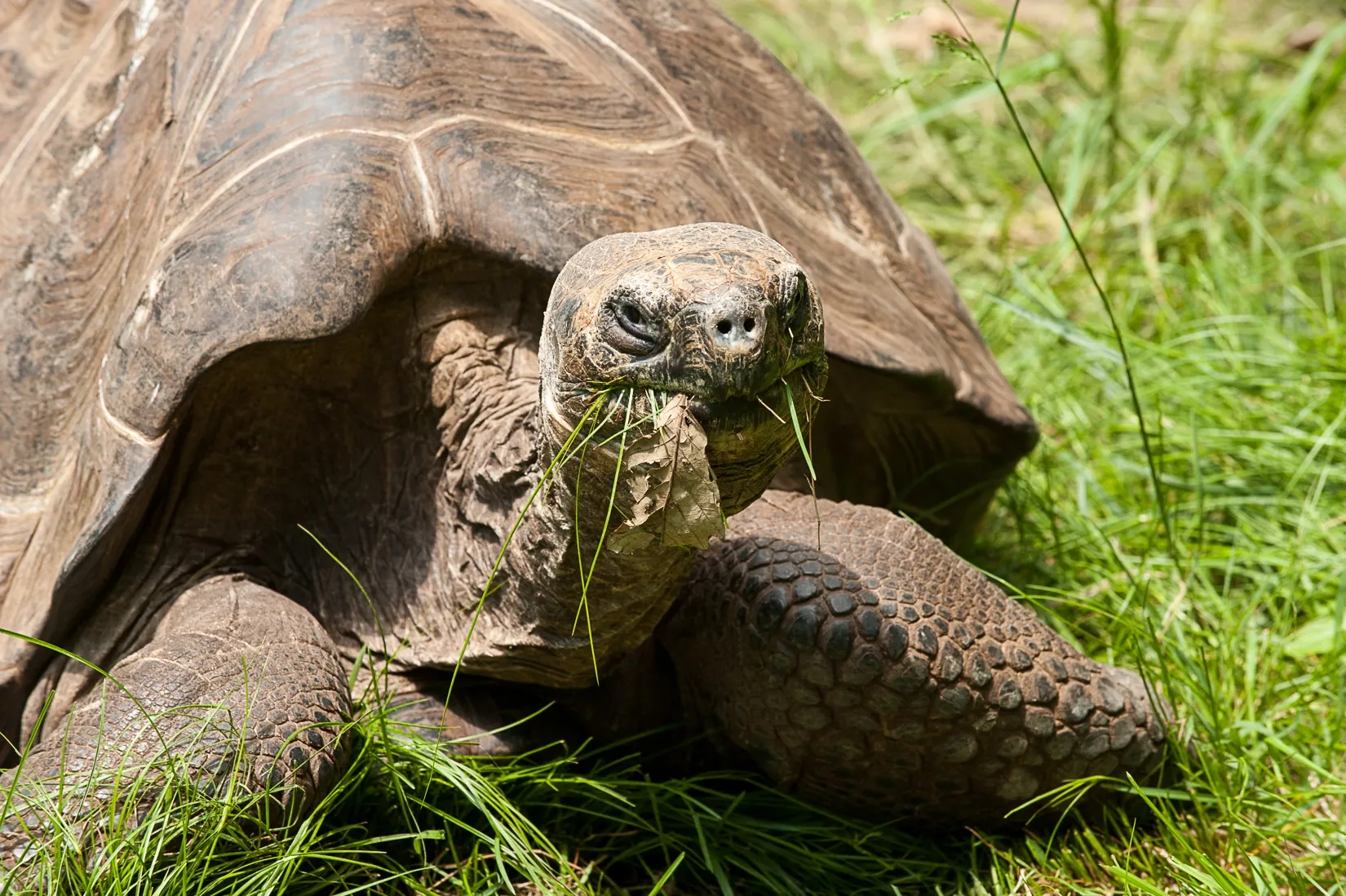Corporate Partnerships - Pittsburgh Zoo & Aquarium