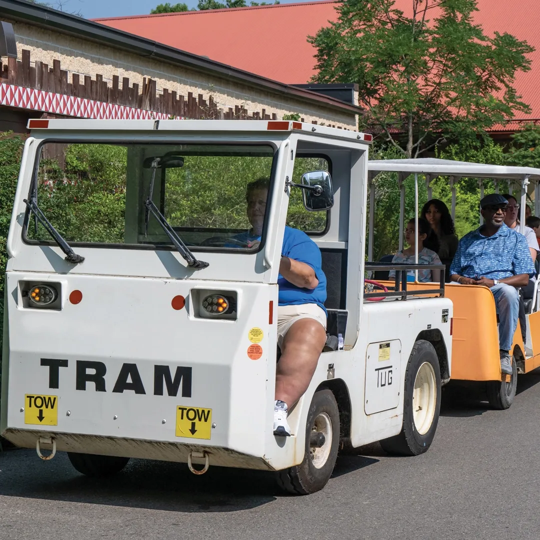 tram