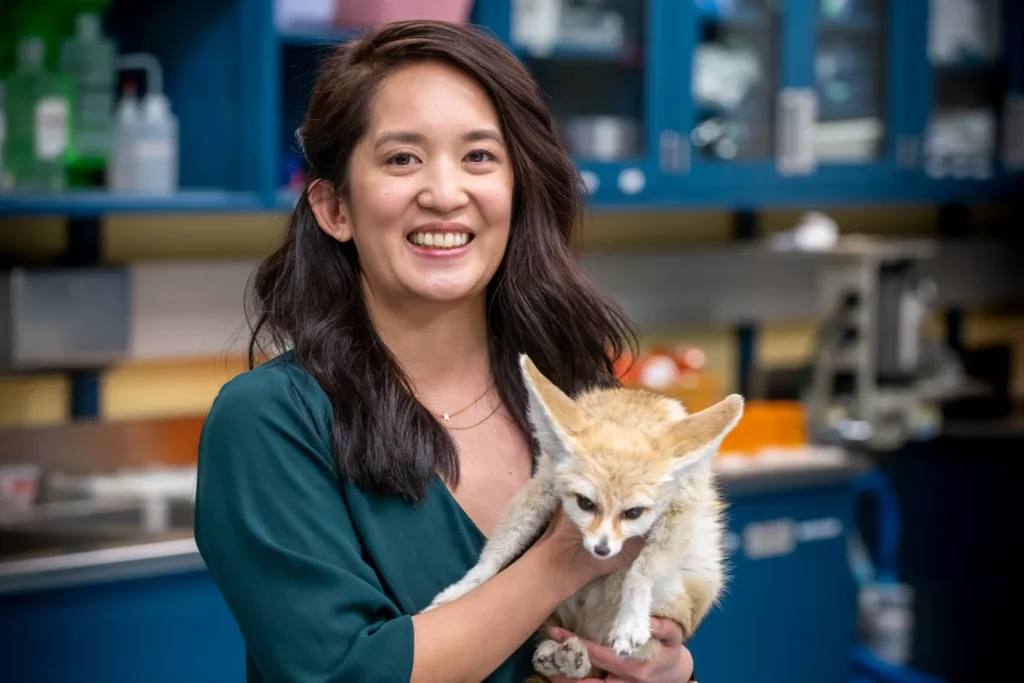 christine holding a fennec fox. she has wavy brown hair and is wearing a teal colored shirt. she is holding the fox in the animal care center.