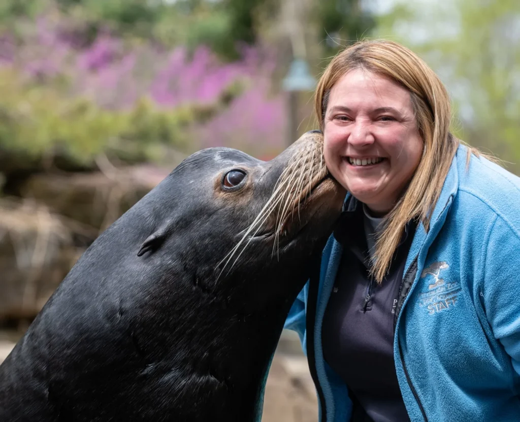 kira with a sea lion. kira has straight blonde hair and is wearing a light blue pittsburgh zoo jacket. the sea lion is kissing her face.
