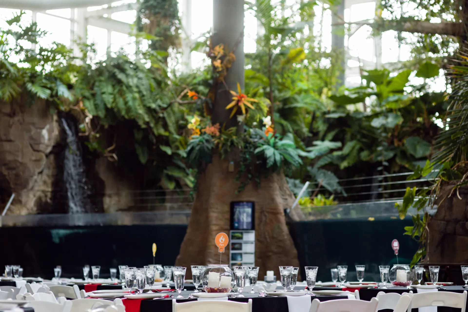 a tabletop very low in the image with the rainforest tank out of focus in the background. the table is set for ten guests with water glasses, black linens, and red napkins. there is an orange table number in the middle that matches flowers in the background.