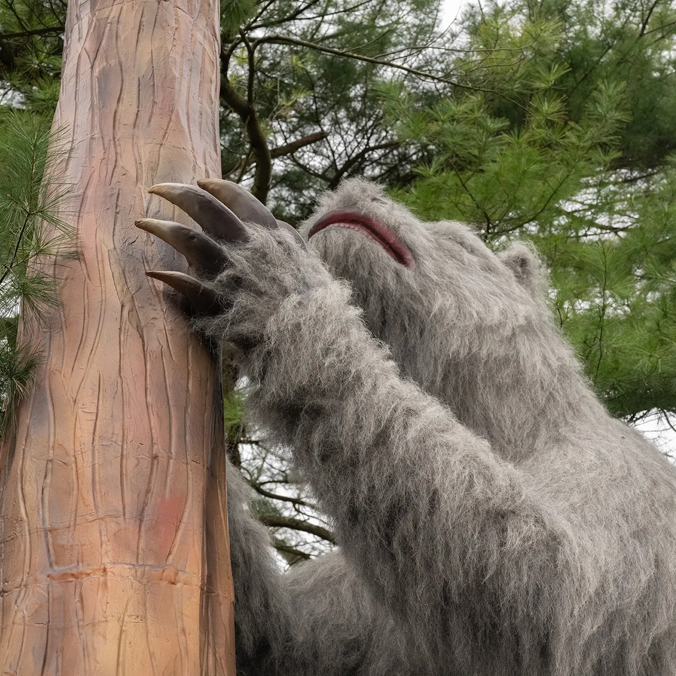 a giant sloth from the zoos ice age exhibit. it is shaking a tree trunk